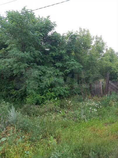 Дом 24 м² на участке 35 сот.