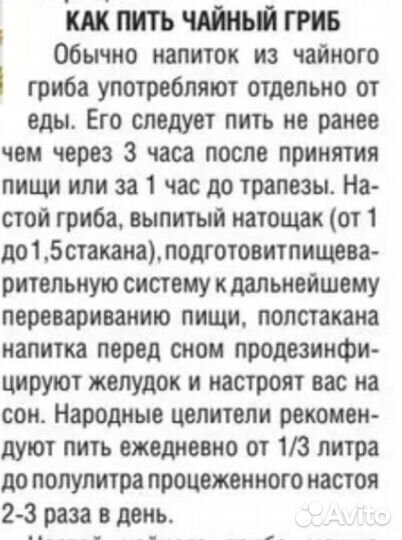 Чайный гриб комбуча