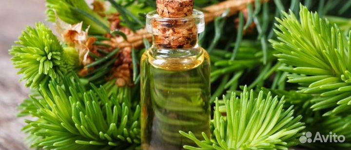 Натуральное пихтовое масло для бани