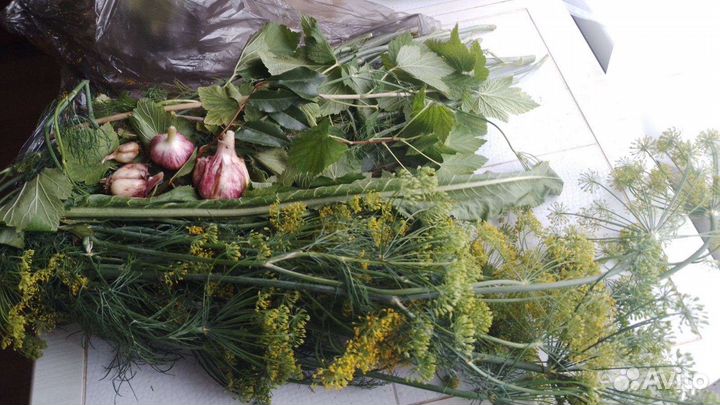 Набор для соления