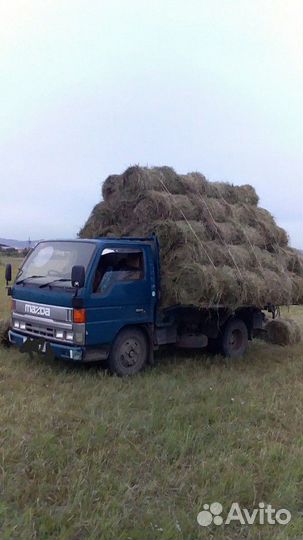 Продам Сено