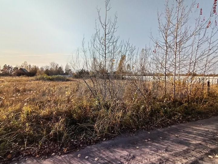 Участок 10 сот. (СНТ, ДНП)