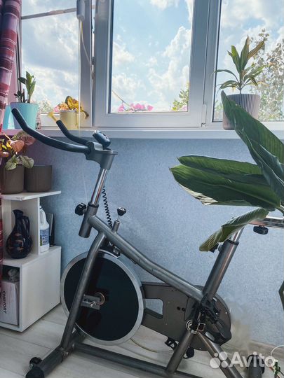 Спинбайк DFC-b3005