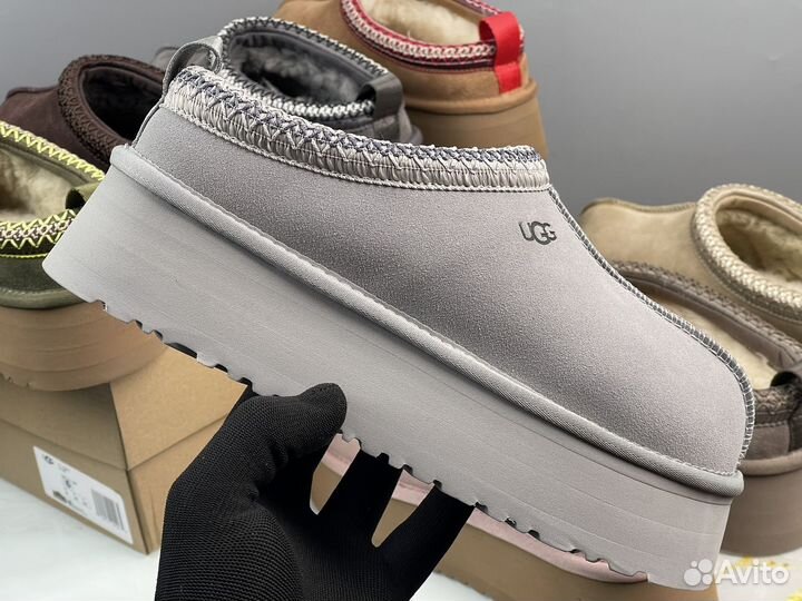 Ugg tazz оригинал