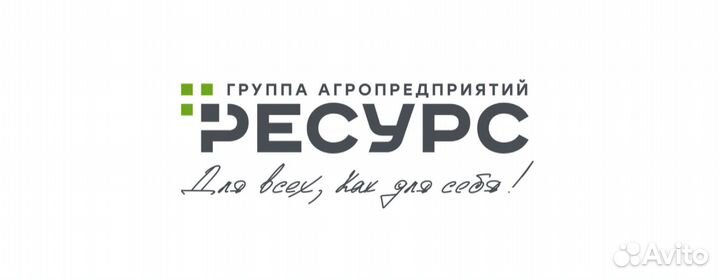 Грузчики