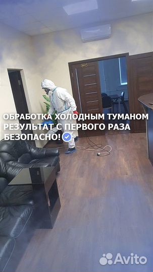 Уничтожение насекомых клопов тараканов