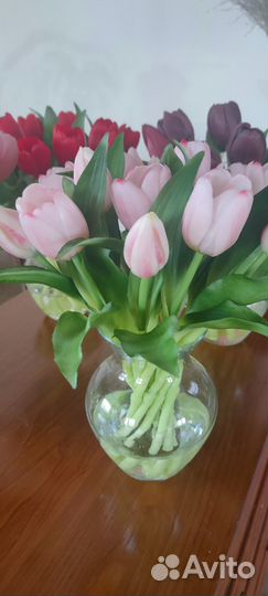 Цветы тюльпаны