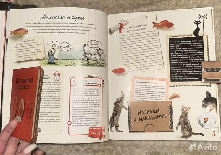 Книга про кошек детская