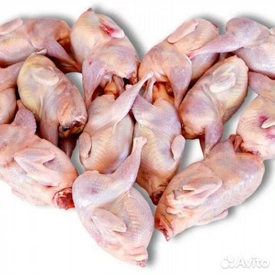 Перепел (тушка охл., с/м и др)