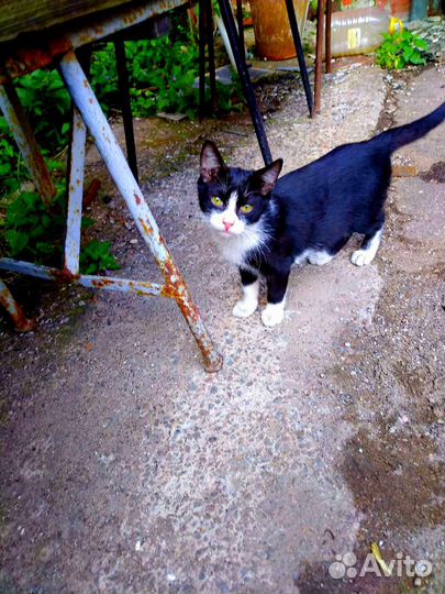 Каждые выходные голодные