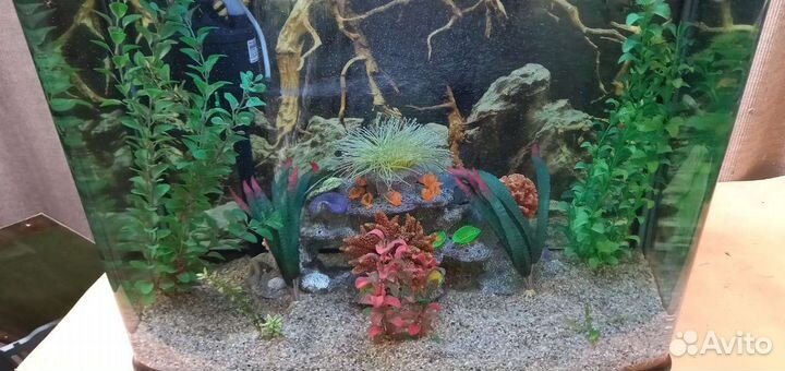 Аквариум