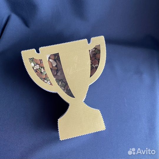 Подарок тренеру, учителю Сочи