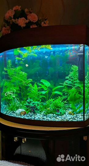 Аквариум на заказ