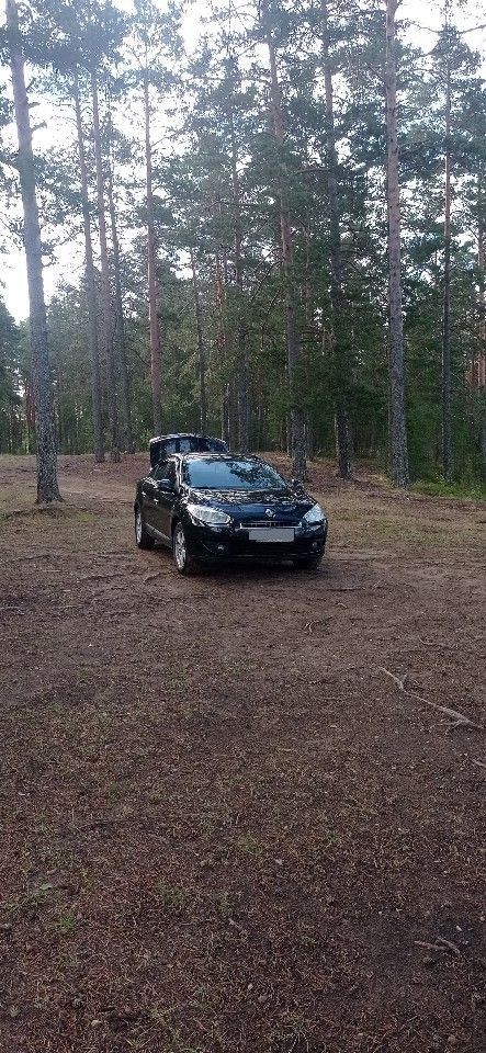 Renault Fluence: фото из отзыва