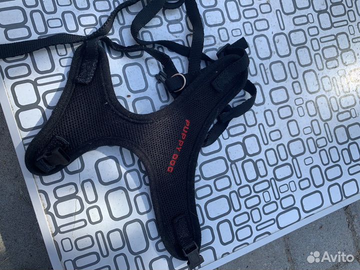 Одежда доя собак,шлейки, поводки