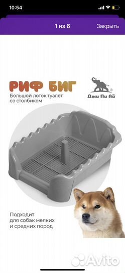 Лоток для кошек и собак