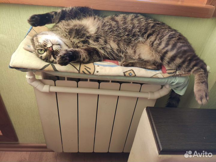 Лежанка-гамак для кошки на батарею