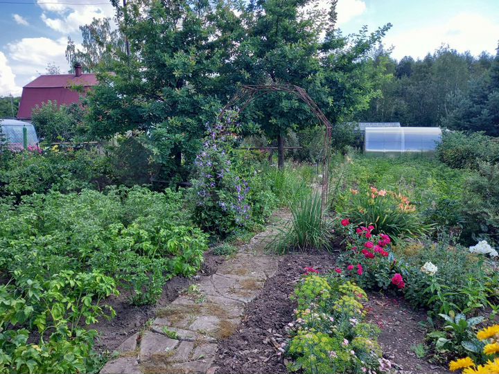 Участок 4,5 сот. (СНТ, ДНП)