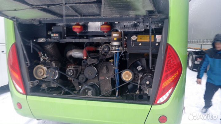 Междугородний / Пригородный автобус Zhong Tong LCK6127H, 2024