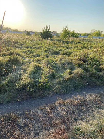 Участок 8 сот. (ИЖС)