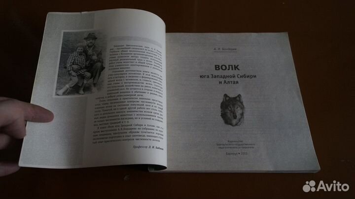 919,18 Бондарев А.Я. Волк юга Западной Сибири и Ал