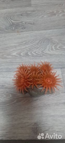 Аксессуары для аквариума