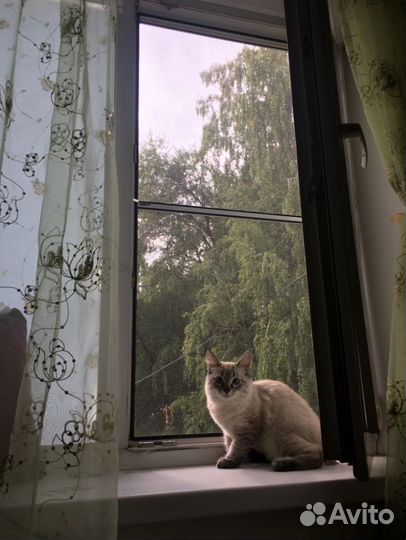 Москитные сетки на заказ