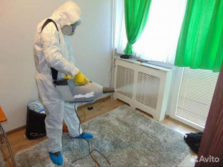 Уничтожение Тараканов Клопов Блох Ос Крыс