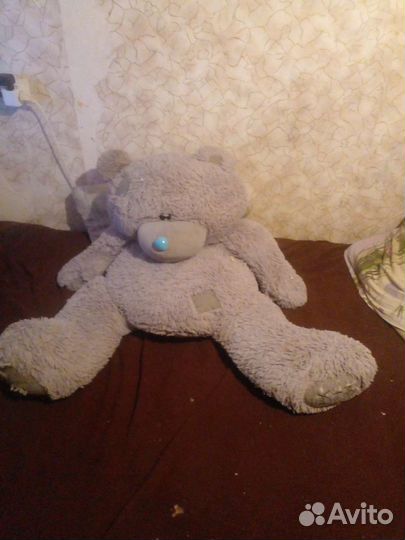 Мишка Тедди