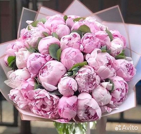 Пионы Розы Доставка