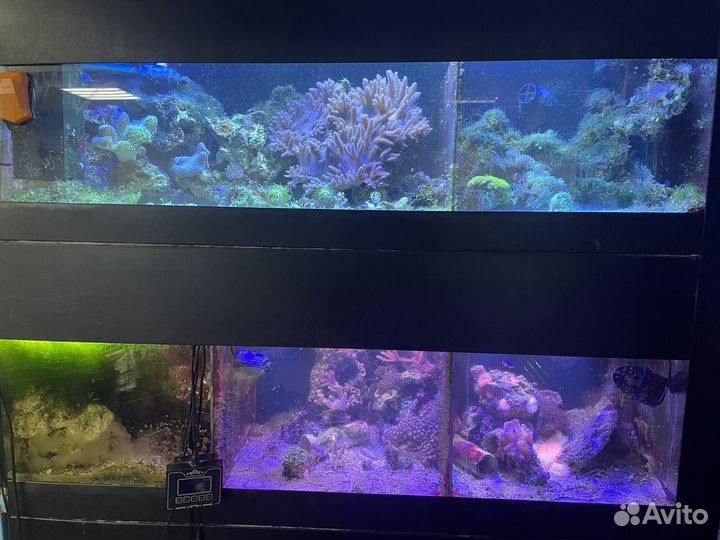 Морская аквариумная стойка