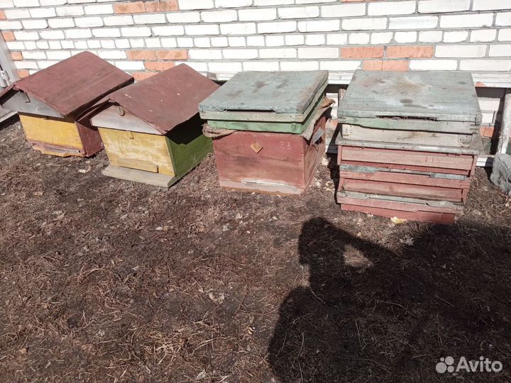 Улей дадан 12 рамок