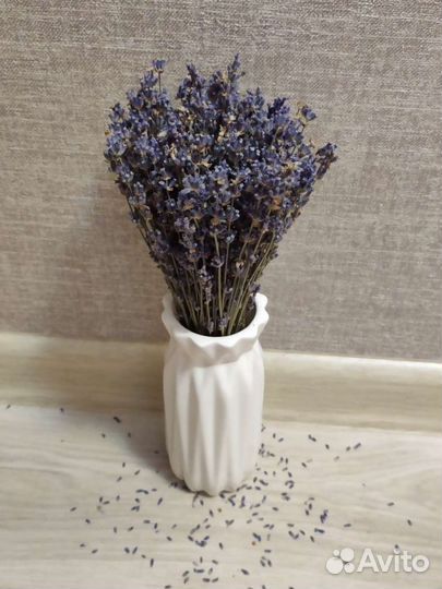 Лаванда сухоцвет