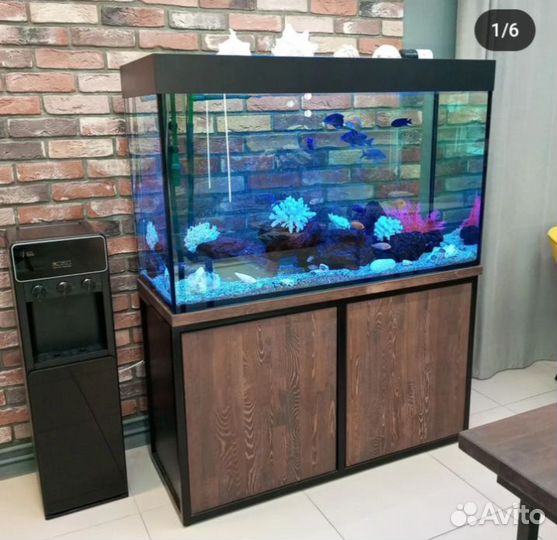 Студия Аквариумного дизайна Аква