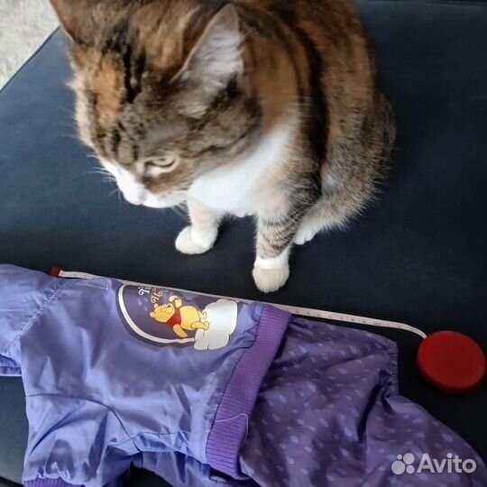 Комбинезон для собачки