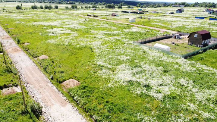 Участок 10 сот. (СНТ, ДНП)