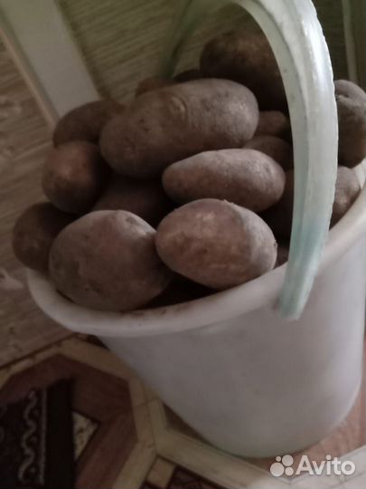 Картофель