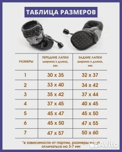 Ботинки и прогулочные носки для собаки