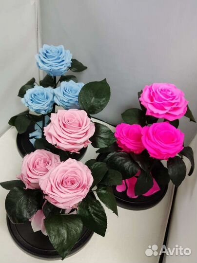 Роза в колбе