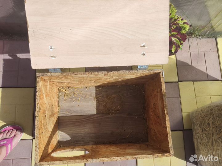 Маточник для кроликов