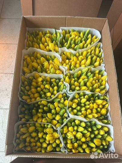 Букет цветов с доставкой