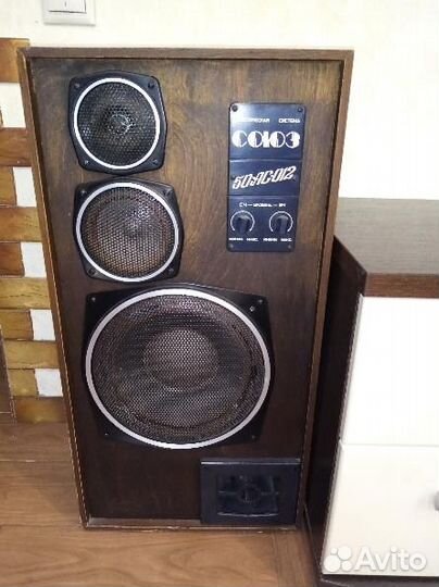 Акустические колонки Союз 50ас-012