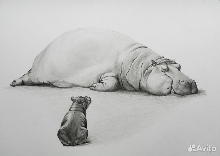 Картины карандашом, 30х40см. Анималистика