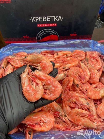 Креветка оптом, от 10 кг