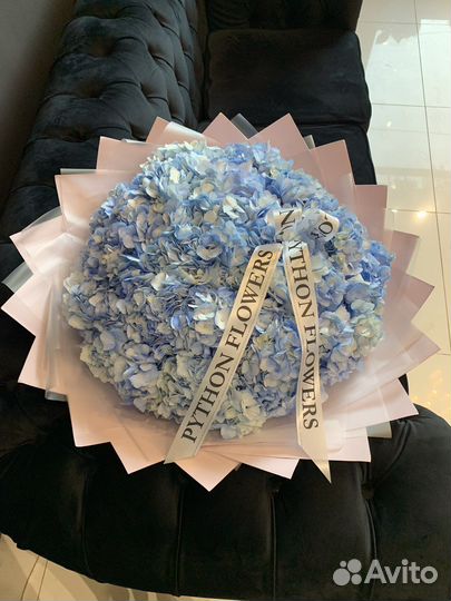 Гортензия голубая