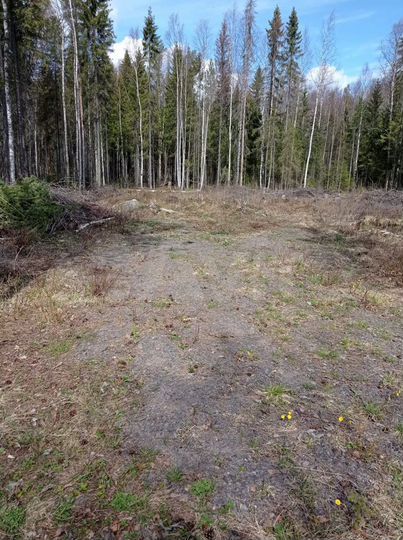 Участок 14 сот. (ИЖС)