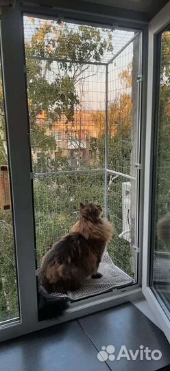 Балкон для кошек