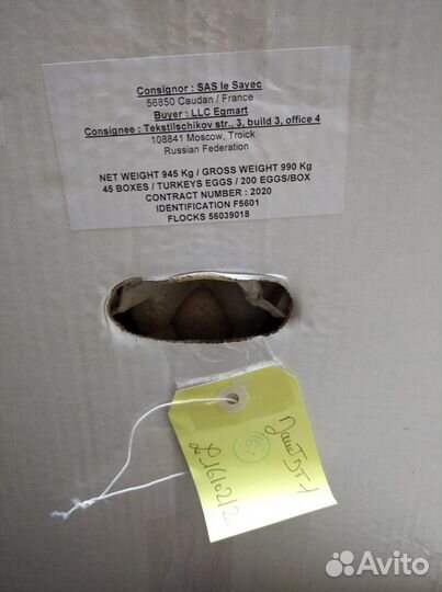 Инкубационное яйцо Индейки и Бройлера Импорт