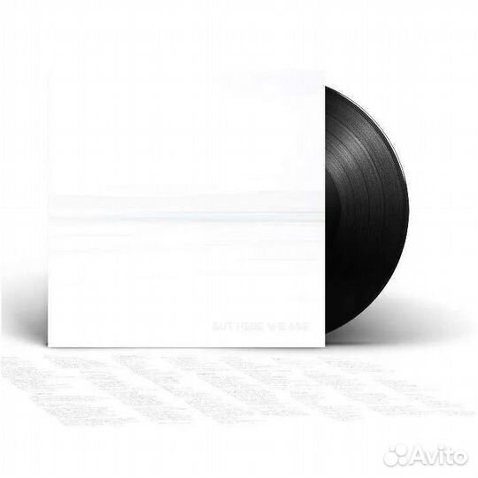 Foo Fighters - But Here We Are/ VinylLP2023