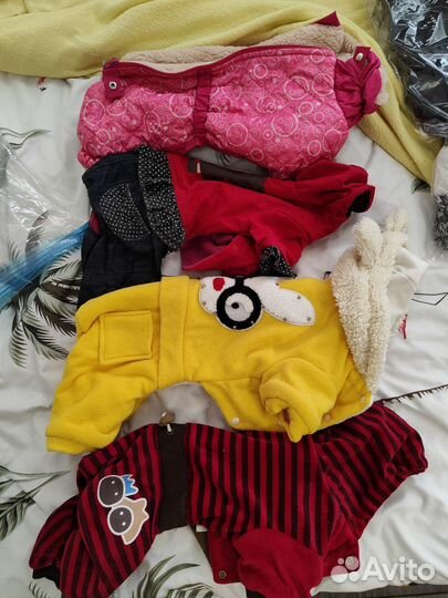 Одежда для собак пакетом